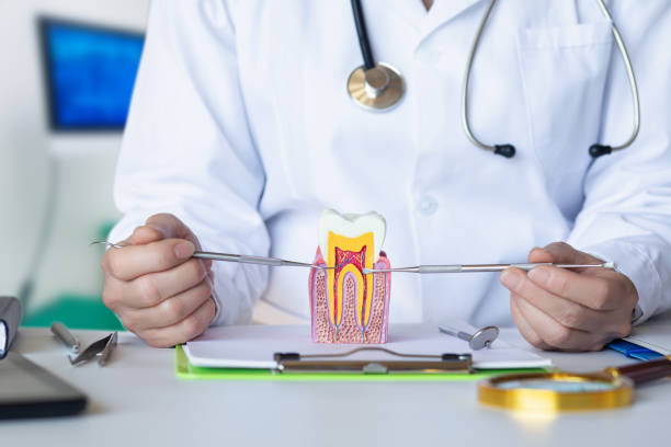 Best Emergency Dentist for Lost Fillings or Crowns in Easton, MD